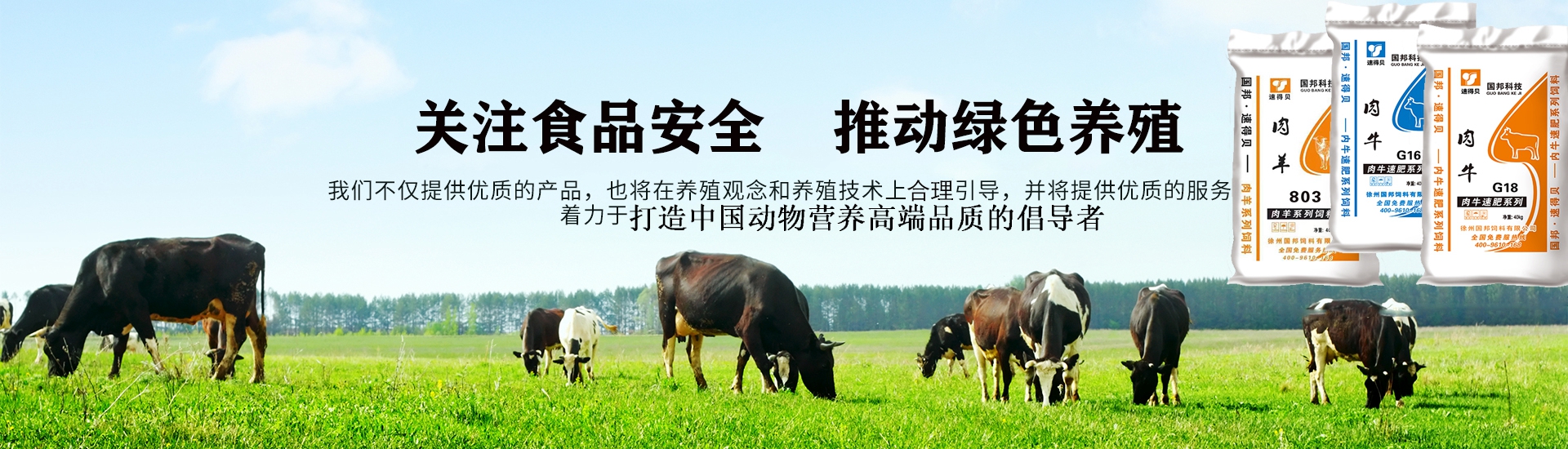 通栏图片