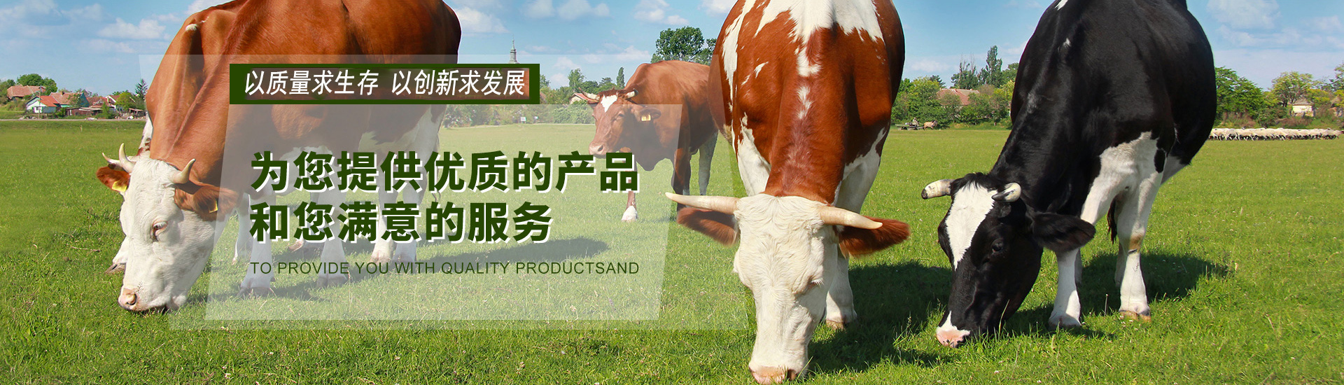 通栏图片