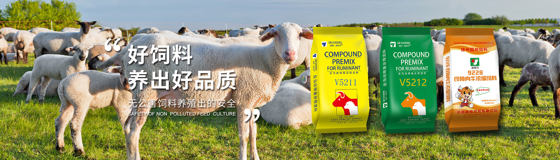 通栏图片